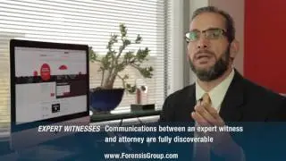 What are the Differences Between an Expert Witness and a Consulting Expert?