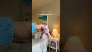 Opening the tiny smudge hippo Jellycat!! #jellycatcollection #jellycat