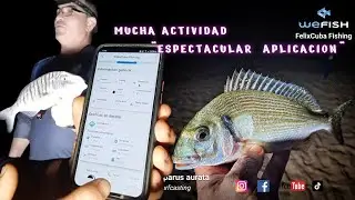 MUCHA ACTIVIDAD , APLICACION  ESPECTACULAR, Wefish lo tiene todo .#fishing #pesca #viral