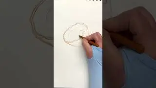 How to draw a coconut #shortvideo #drawing #coconut #joy