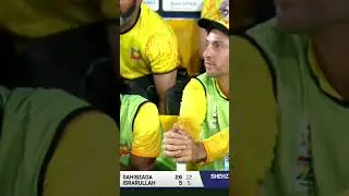 Sahibzada Farhan throws away his wicket! Simple catch for Raees Ahmed ☝🏻 #FSDvPSW&nbsp;|&nbsp;#NationalT20