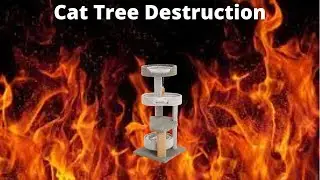 Little Cat Tree Destruction