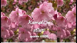 Kamoliņu stāsti epizode6/2025