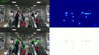 Crowd localization and Crowd counting