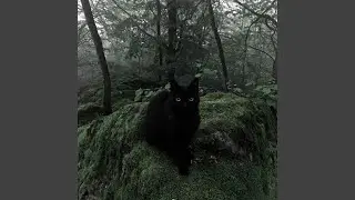 Etap trzeci