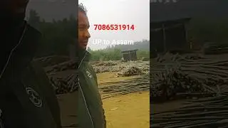 UP to Assam bamboo wholesale supplier.#business #bamboo #shortvideo #shorts #newvideo #vairal #trend