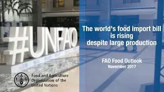 FAO Food Outlook, November 2017