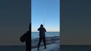 Plattfisch an der Ostsee in D&auml;nemark
