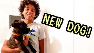 I GOT A NEW PUPPY FOR THE CRIB !