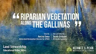 Hermit's Peak Watershed Alliance: Riparian Vegetation