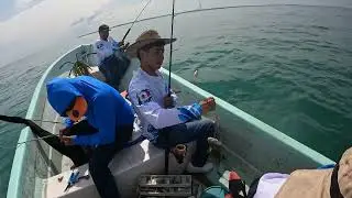 ¡PESCA EN COSTAS DEL PUERTO DE VERACRUZ! #pescadeportiva #pesca #veracruz #veracruzmexico