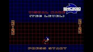 SHC 2020: Sonic Visual Maze