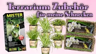 Terrarium Zubehör für meine Schnecken 🐌 Pflanzen, Moos und sonstiges bestellt #unboxing  #terrarium