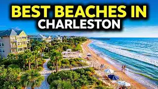 Ranking The Best Beaches for Charleston Locals