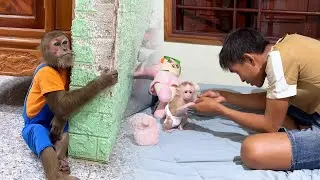 Too Heartbreaking! CUTIS Unexpected Emotion when Think Dad Don't Love Anymore!
