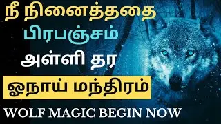 😮நீங்கள் நினைப்பதை அடைய ஓநாய் மந்திரம்🦊 | Switch Words in Tamil #lawofattraction #universe