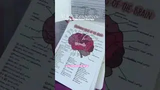 SLPA resources/ SLP essentials, future SLP tools #slpa #speechpathology #slp #slps #slptips #medslp