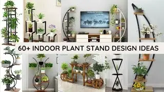 Ideas for Indoor Plant Stands | Enhance Your Space with Plant Decor | Creative Plant Stand Designs