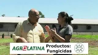 Programa Domingo 11 de Enero 2026