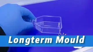 LongtermMould's cell culture flasks advance biotechnology #medicalmold #MedicalMouldComponents #mold