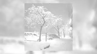 Twinky - ghoul ( я настоящий гуль все остальные фейки ) slowed❄️☃️