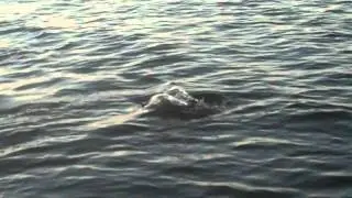 DeepWater RedFish Oct.3,2010