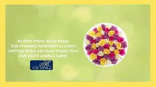 Send Flowers Online| free shipping| Nrigifting