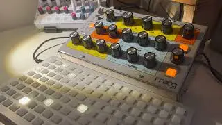 moog sirin / mf-104m / norns awake