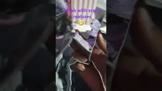 fake collab with  hellish bittergiggle #teeth #bittergiggle#naughty #fun