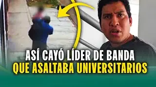 As&iacute; cay&oacute; 
