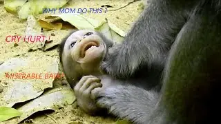 Million Pity Baby Alba Mom Anna Warning & Weaning So Hard, Stepping On Head Baby Into The Ground