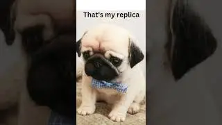 Felt DOG - PUG from Photos #pug #puglife #dogmom #doglover #dogs
