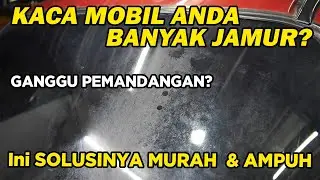 Cara Menghilangkan dan Membersihkan Jamur Kaca di Mobil yang Ampuh - Murah - Aman untuk semua Mobil