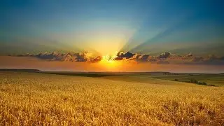 Golden Fields (Pure acoustic) - Золотые поля (Чистая акустика)