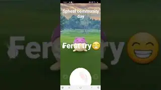 spheal community Day
