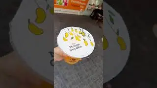 What can you find in Thailand? Cats and Mangos | Tha Maharaj Bangkok 2021