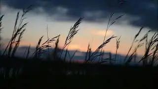 'Wind' by the English poet, Ted Hughes 1930 - 1998