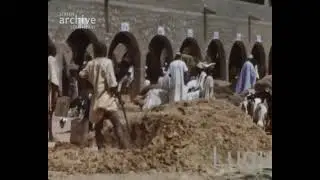 Taudo Inugu ne.