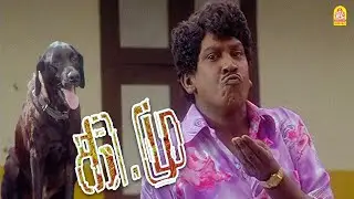 அப்போ , என்ன கவட்டையில கடிக்க விட்டது வியாபாரமா ? |Kee Mu HD Comedy Scene | Vadivelu