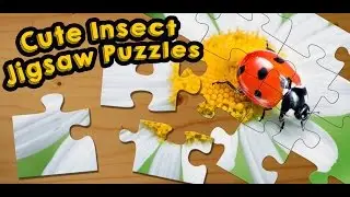 Bugs & Insects Jigsaw Puzzle Game for Kids - App Gameplay Video