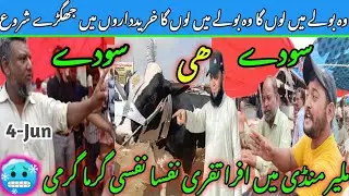 Malir Cow mandi latest update| 4-Jun-2024| cattle market maweshi mandi Qurbani collection bull Cow,