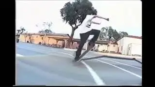 Video Days - Guy Mariano (Skee Lo - Wish)