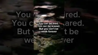 Your Excuses Die Today