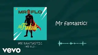 Mr Flo - Mr Fantastic