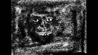 Have You Seen This Man?