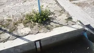 Discharge Measurement through V-Notch on canal