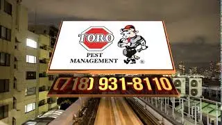 Best Residential Pest Control in Bronx, NY