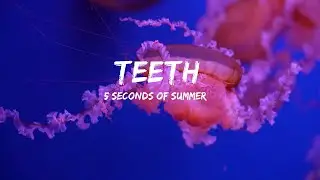 5 Seconds of Summer - Teeth (Lyrics) |1HOUR LYRICS
