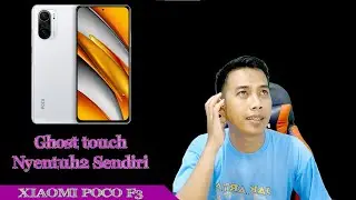 POCO F3 kalo layarnya Ghost touch bisa di ganti TS aja Tanpa LCD atau Tidak