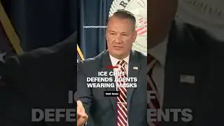 ICE chief defends agents wearing masks during immigration raids